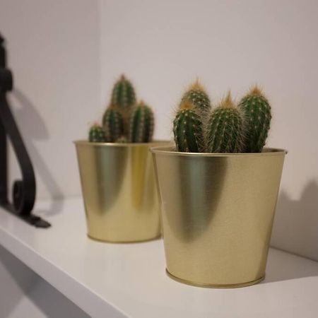 Bonito Apartamento, Nuevo Y En El Casco Viejo!!! Lägenhet Bilbao Exteriör bild